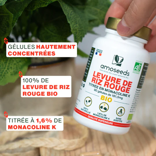Levure de Riz Rouge Bio | 90 gélules – Image 2