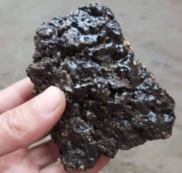 Shilajit | pot de 100g – Image 3
