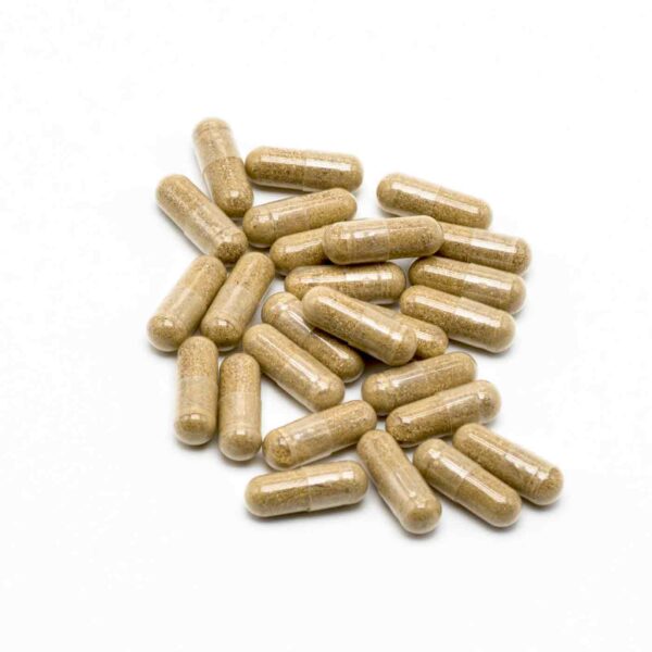 Ashwagandha KSM-66™ Bio, 5% withanolides | 60 gélules – Image 4