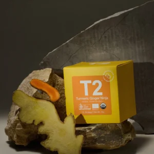 Thé Curcuma et Gingembre (Bte de 25 Sachets)