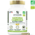Garcinia Cambogia Bio, Extra Fort, 60% d'HCA
