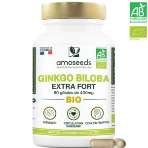 Ginkgo Biloba Bio, Extra Fort | 90 gélules