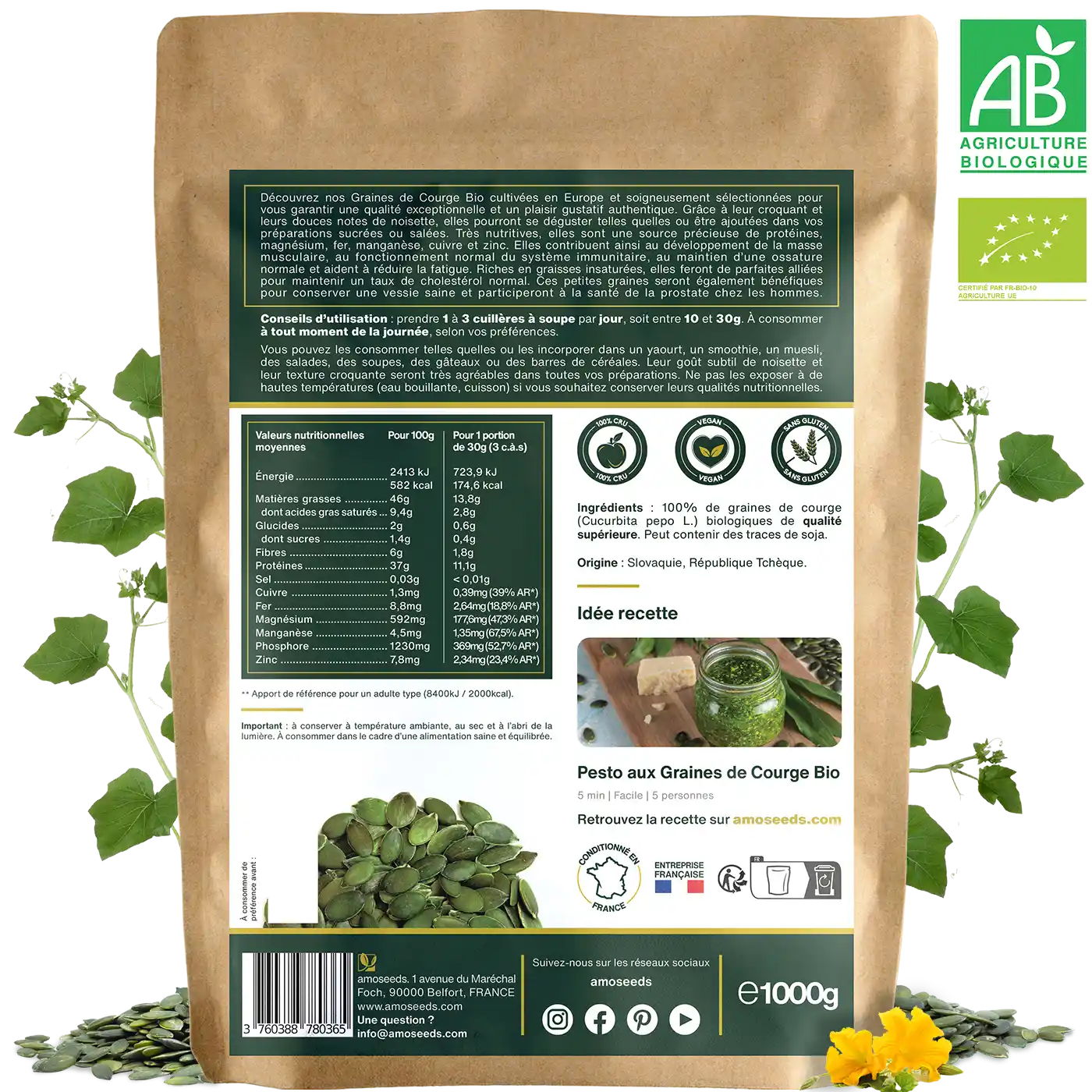 Graines de Courge Bio 1KG – Image 2