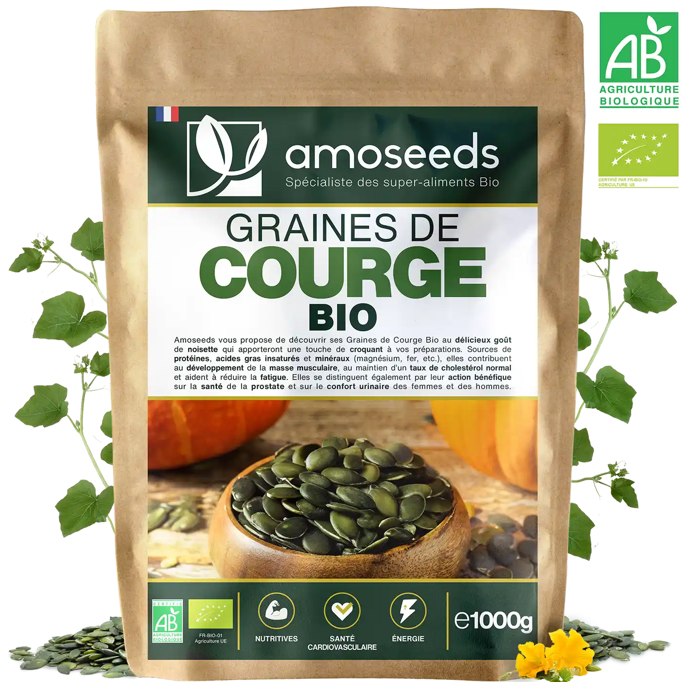 Graines de Courge Bio 1KG