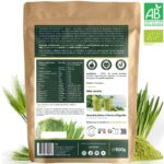 Herbe d'Orge en Poudre Bio 500g – Image 2