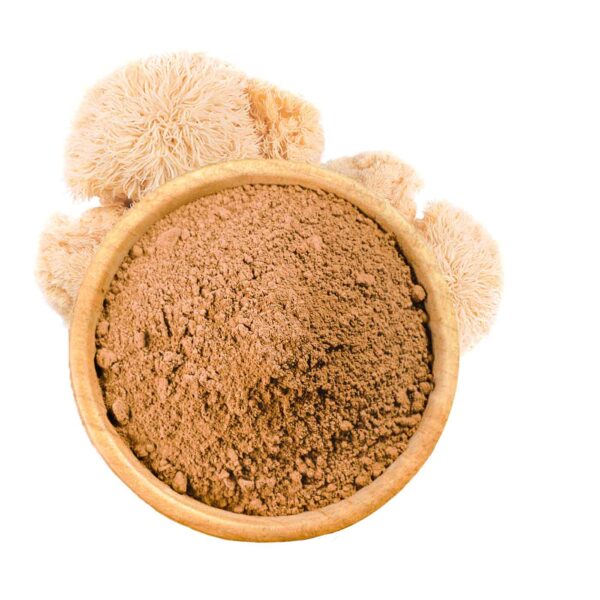 Hericium en Poudre Bio 150g – Image 3
