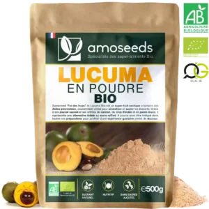 Lucuma en poudre Bio 500g