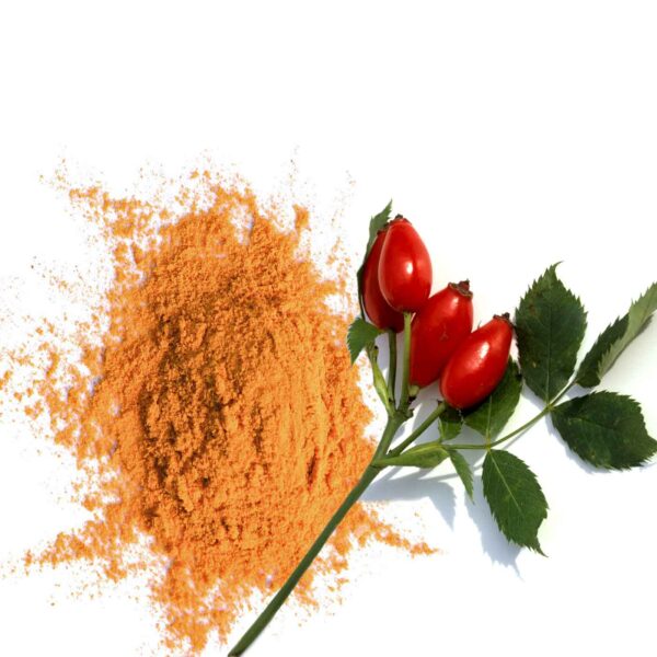 Poudre de Cynorrhodon Bio 250g – Image 3